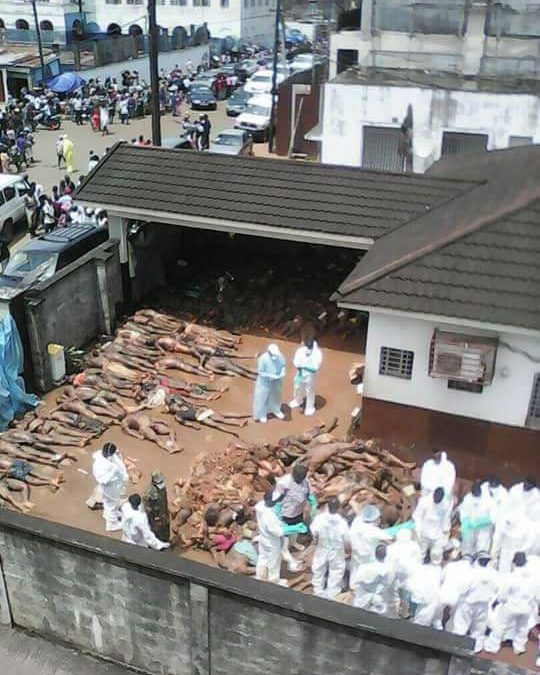 Sierra-Leone: le bilan des inondations pourrait atteindre 1000 morts