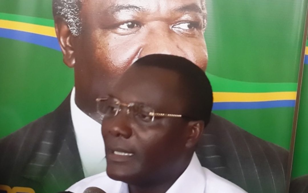 Les manoeuvres d’Ali Akbar Onanga pour la succession d’Ali Bongo