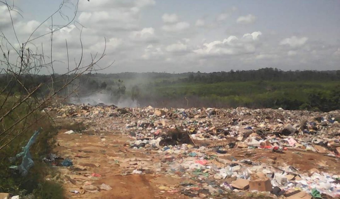 Gabon : silence, Sanivit pollue la mangrove !