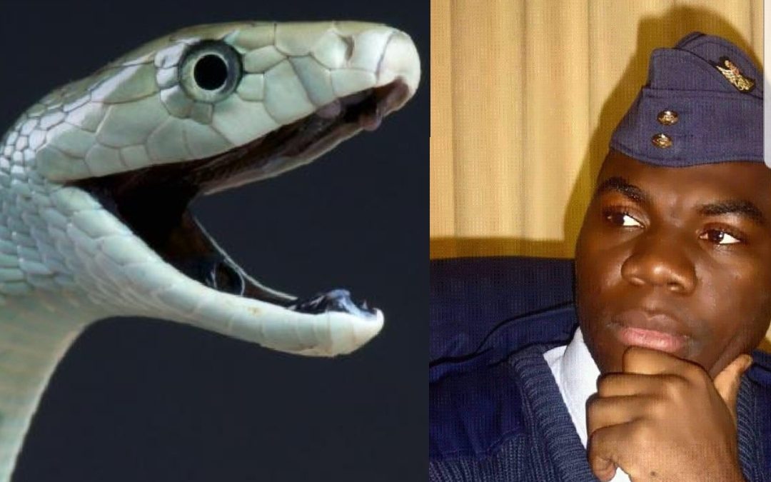 Gabon: Et si Mamba mordait son maître Arsène Emvahou ?