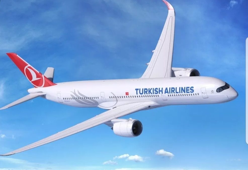 Plus de 30 blessés à bord d’un avion de Turkish Airlines
