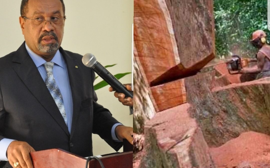 Gabon: Guy-Bertrand Mapangou limogé finalement sur la base de fausses allégations