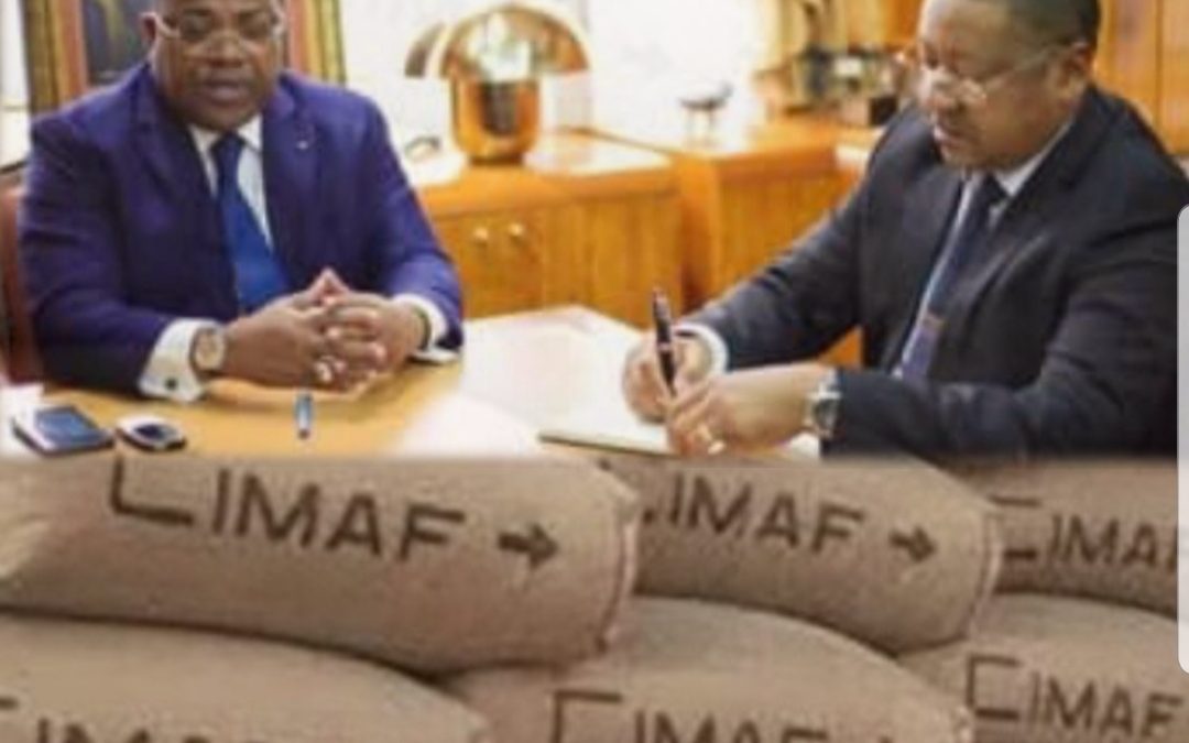 Gabon:  Nkoghe Bekale et Ogandaga veulent instaurer une mafia cimentière