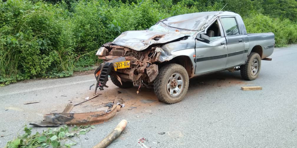 Gabon: un blessé grave après la collision entre un vehicule et un éléphant