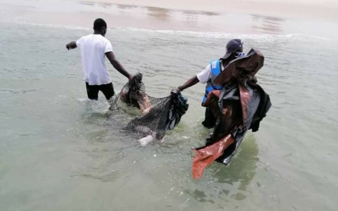 Gabon: découverte du corps d’un garçon sacrifié à La Pointe-Denis.